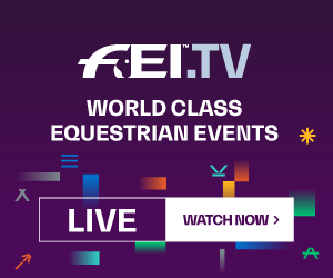 fei.tv