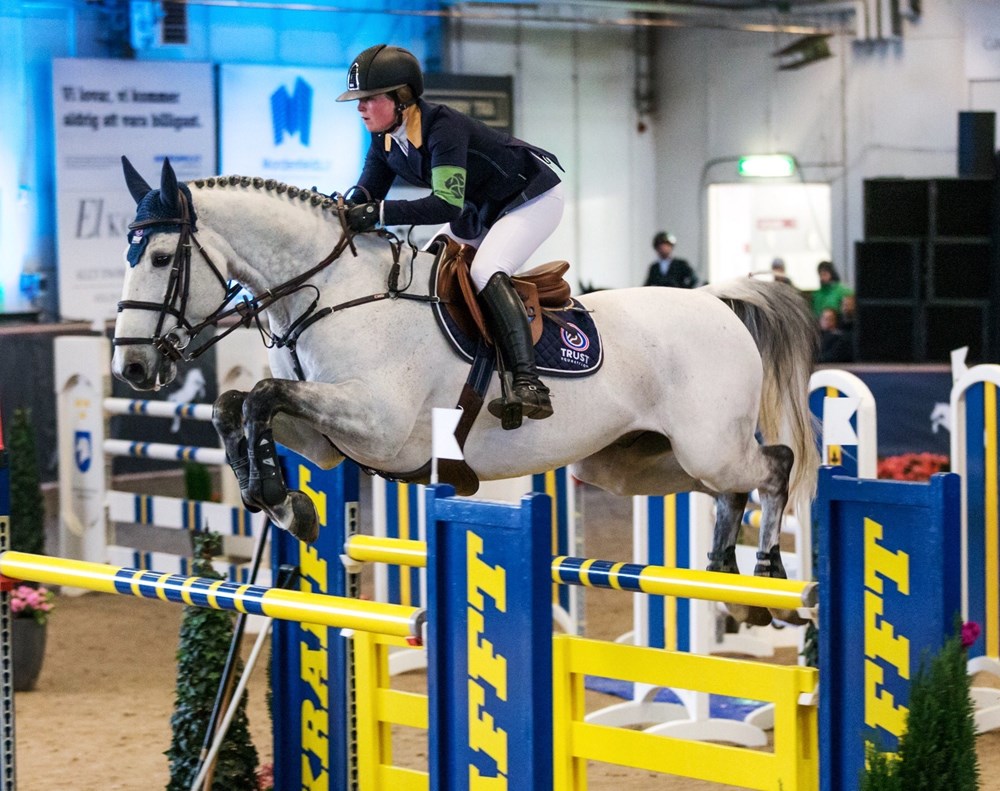 Häst hoppar över hinder med ryttare. 