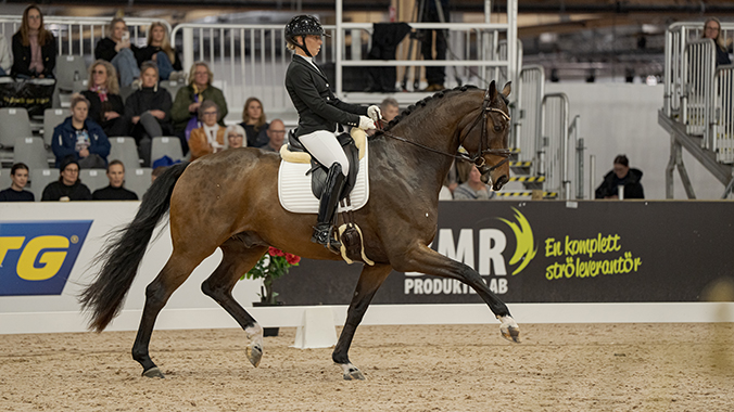 Ryttare på dressyrhäst.