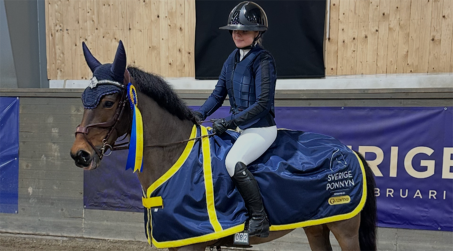 Ponny och ryttare med vinsttäcke och rosett