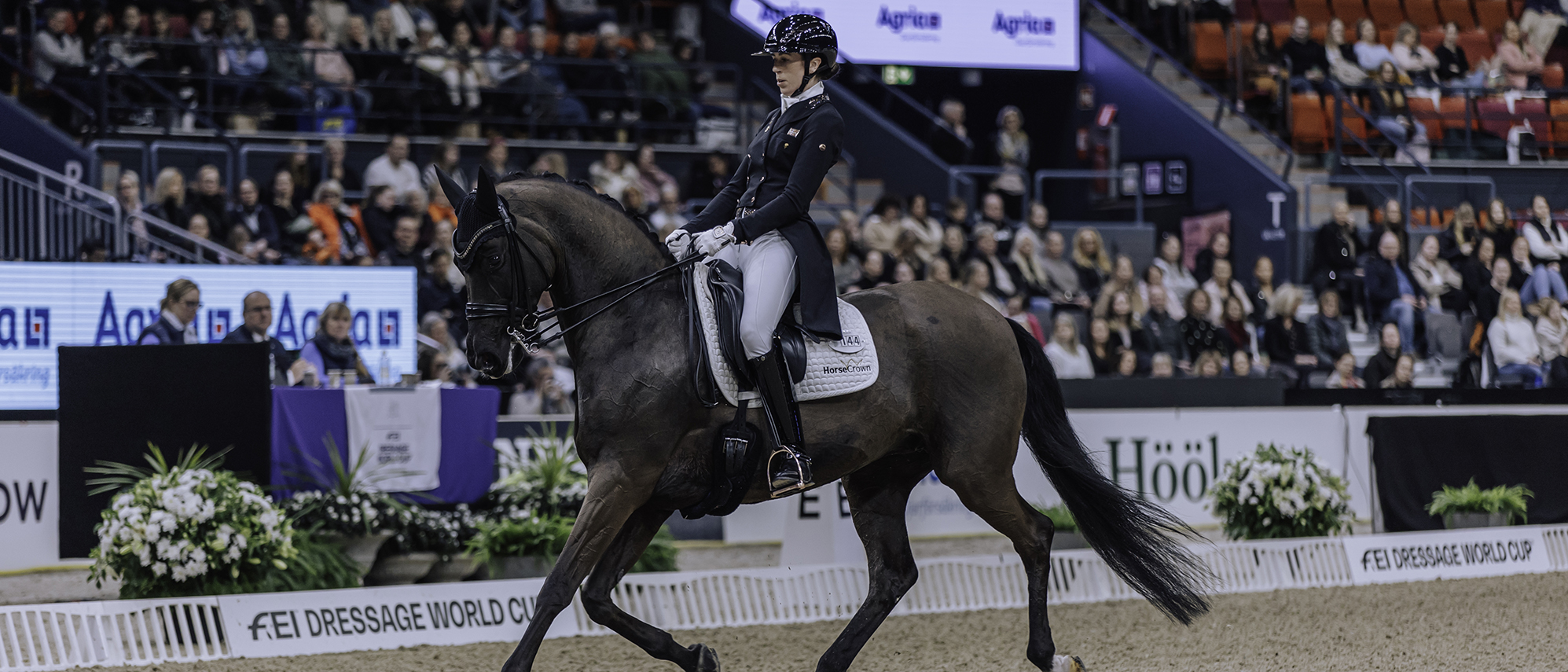 Dressyrhäst med ryttare rider över banan. 