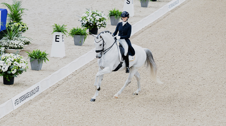Biljetter till Gothenburg Horse Show 2025 GHS i