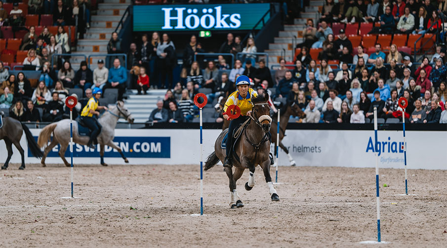 Gymkhana ponny med ryttare som samlar ringar från pinnar.