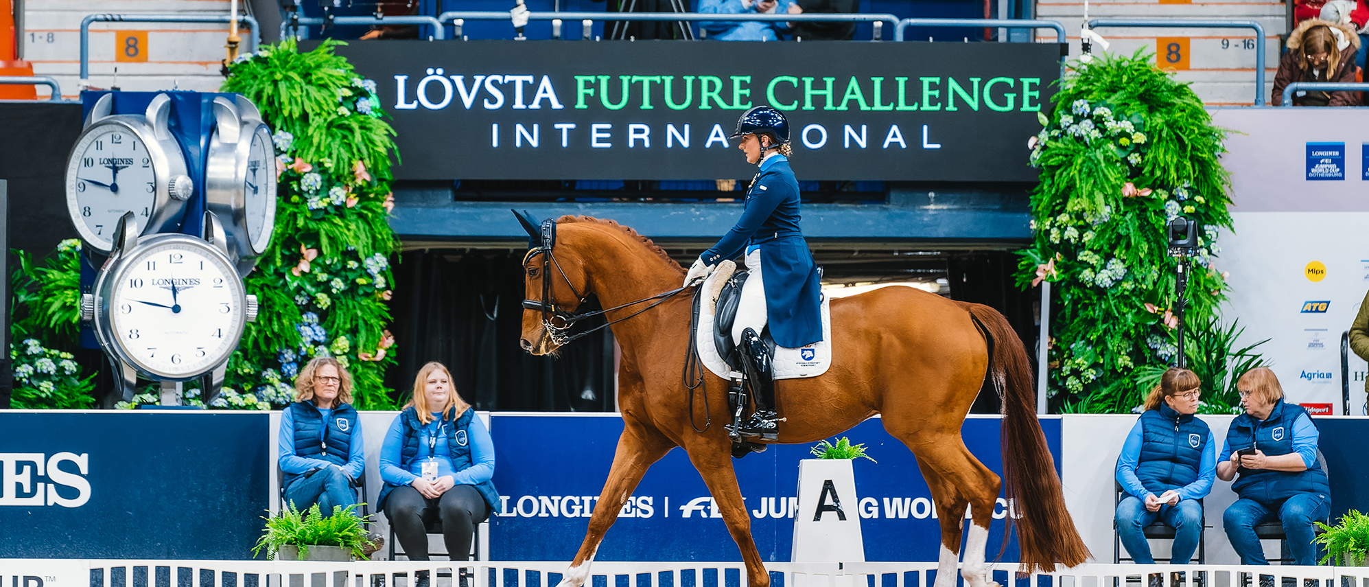Dressyr häst framför Lövsta future Challenge skylt på arenan. 