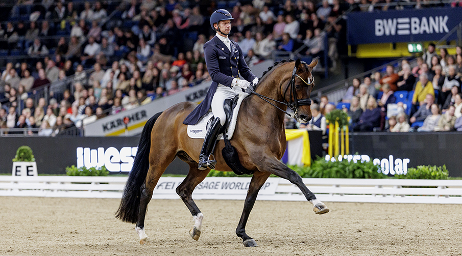 Dressyrhäst med ryttare travar på en ridbana i Stuttgart