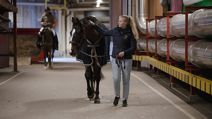 Hästskötare med häst bakom kulisserna.