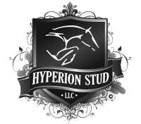 Hyperion Stud